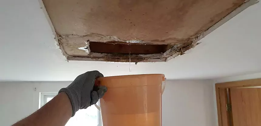Ceiling Mold Repair Statham 