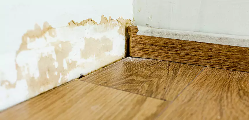 Professional Fix Water Damaged Wood Services in Statham, GA