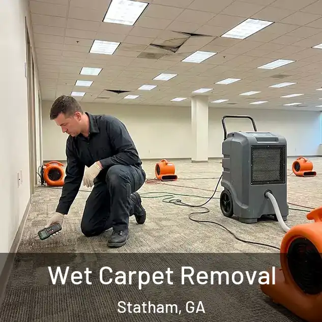  Wet Carpet Removal Statham, GA